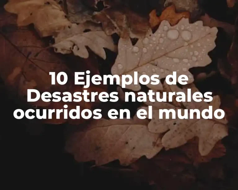 10 Ejemplos de Desastres naturales ocurridos en el mundo