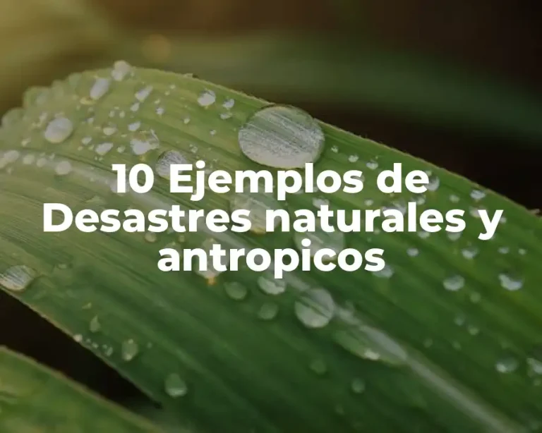 10 Ejemplos de Desastres naturales y antropicos