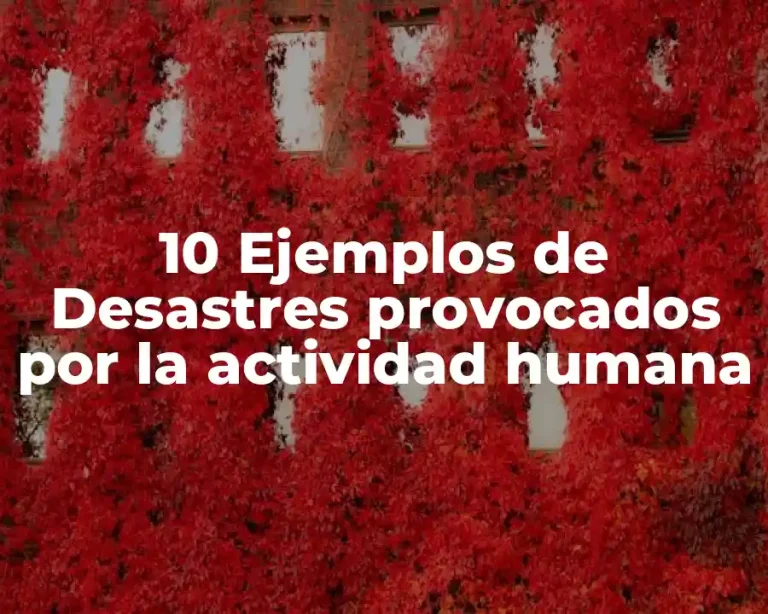 10 Ejemplos de Desastres provocados por la actividad humana