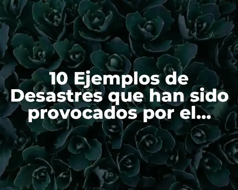 10 Ejemplos de Desastres que han sido provocados por el hambre