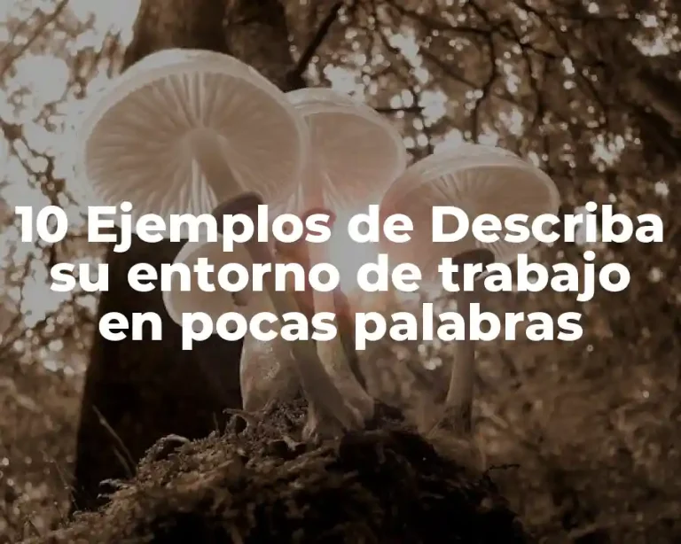 10 Ejemplos de Describa su entorno de trabajo en pocas palabras