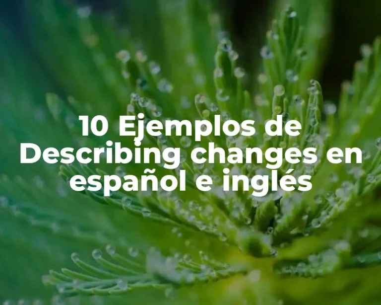 10 Ejemplos de Describing changes en español e inglés