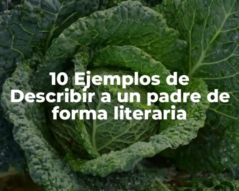 10 Ejemplos de Describir a un padre de forma literaria