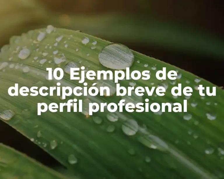 10 Ejemplos de descripción breve de tu perfil profesional