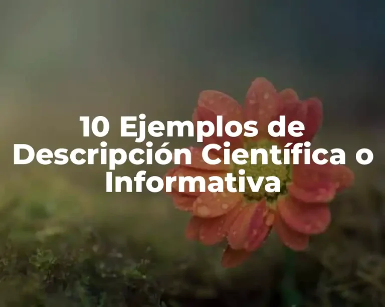 10 Ejemplos de Descripción Científica o Informativa