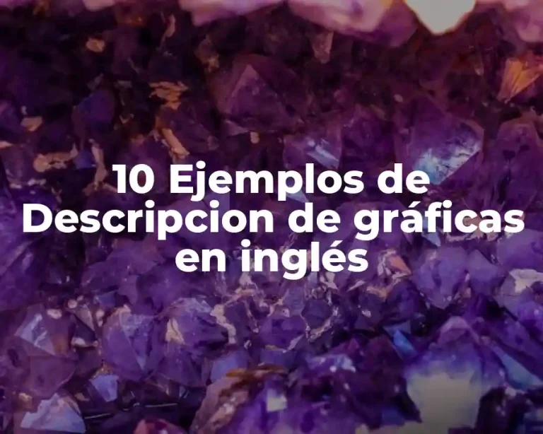 10 Ejemplos de Descripcion de gráficas en inglés