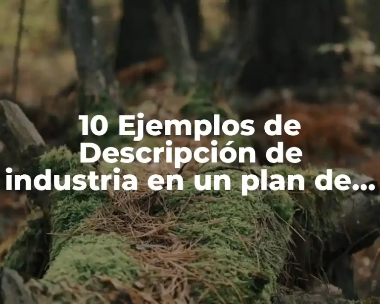 10 Ejemplos de Descripción de industria en un plan de empresa