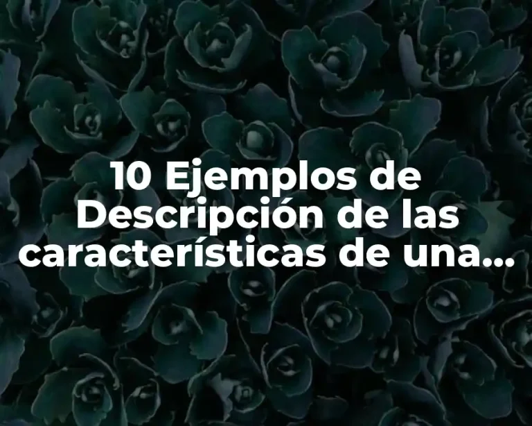 10 Ejemplos de Descripción de las características de una televisión