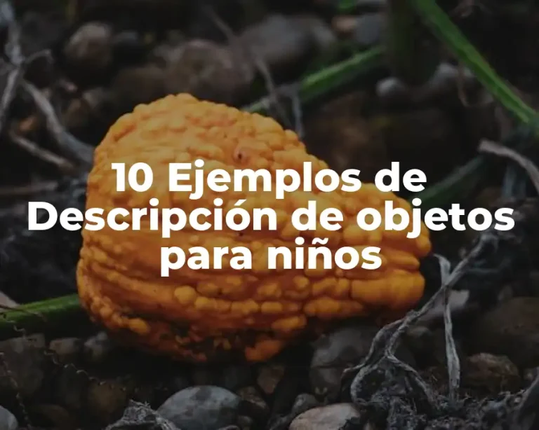 10 Ejemplos de Descripción de objetos para niños