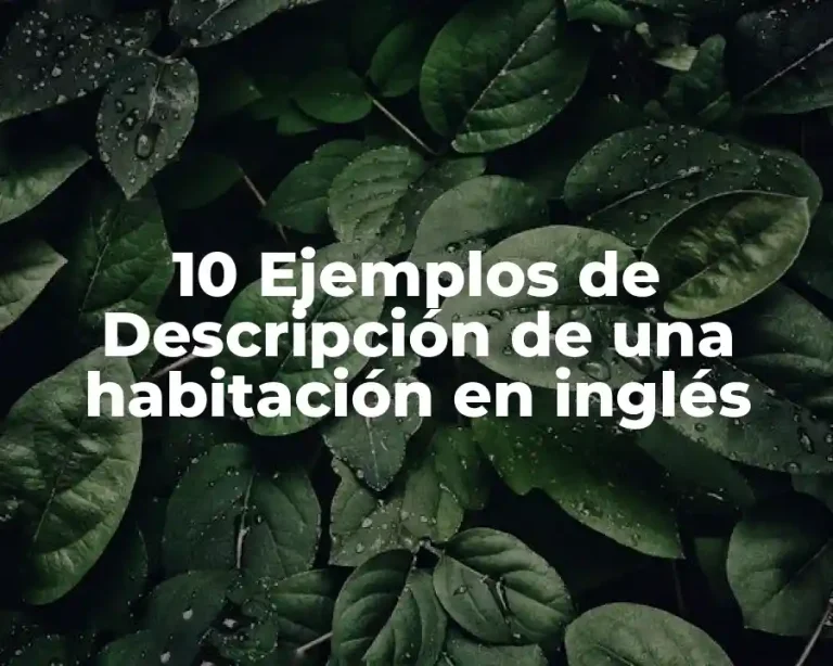 10 Ejemplos de Descripción de una habitación en inglés