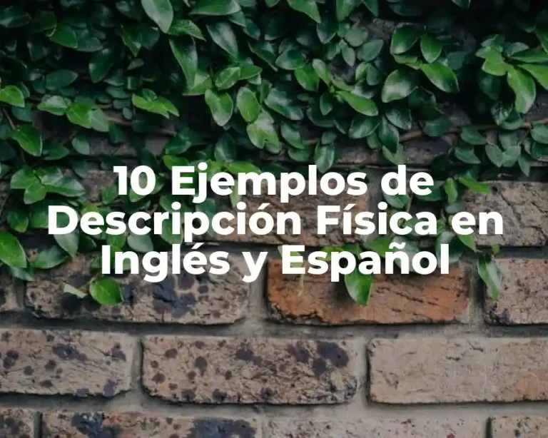 10 Ejemplos de Descripción Física en Inglés y Español