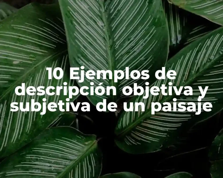 10 Ejemplos de descripción objetiva y subjetiva de un paisaje