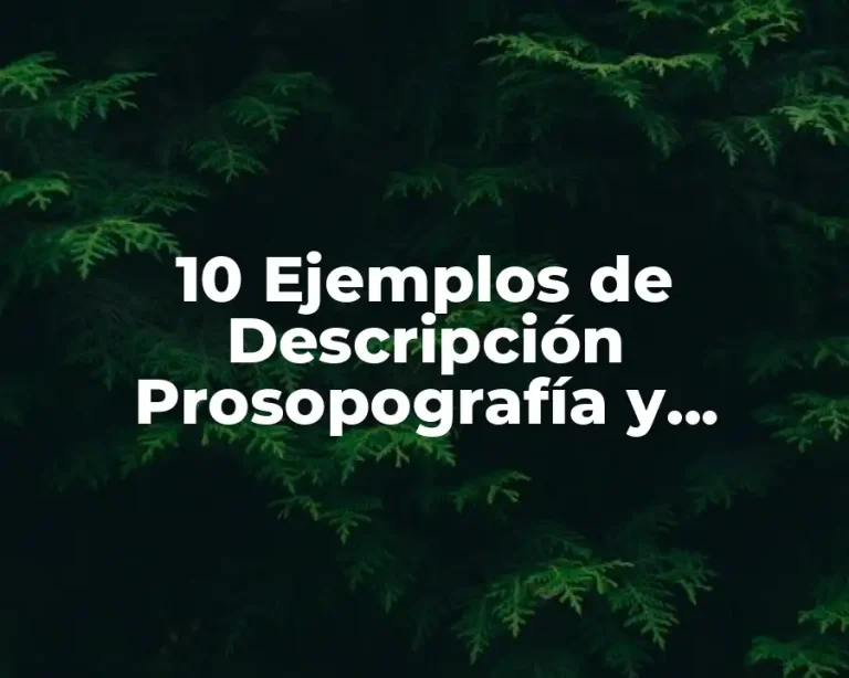 10 Ejemplos de Descripción Prosopografía y Etopología