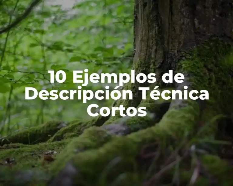 10 Ejemplos de Descripción Técnica Cortos