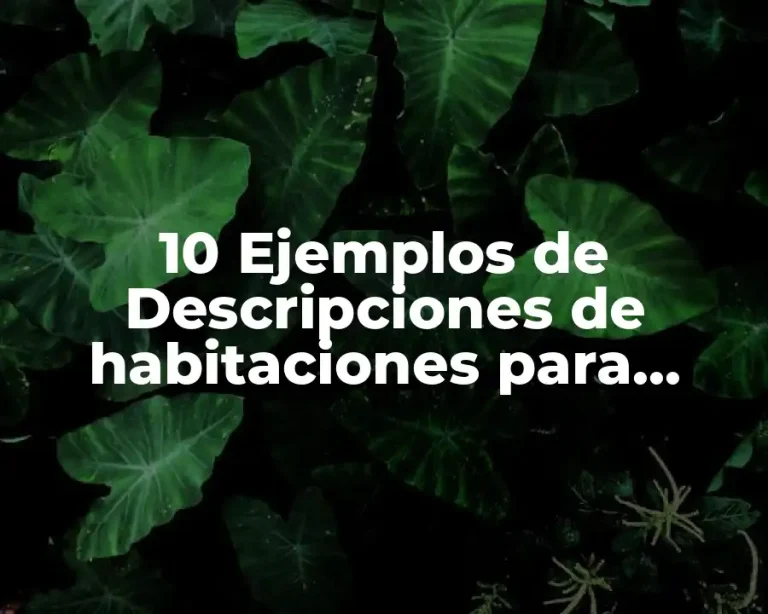 10 Ejemplos de Descripciones de habitaciones para guiones teatrales