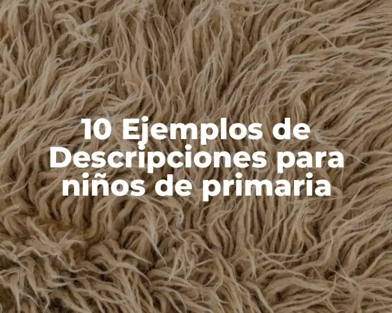 10 Ejemplos de Descripciones para niños de primaria