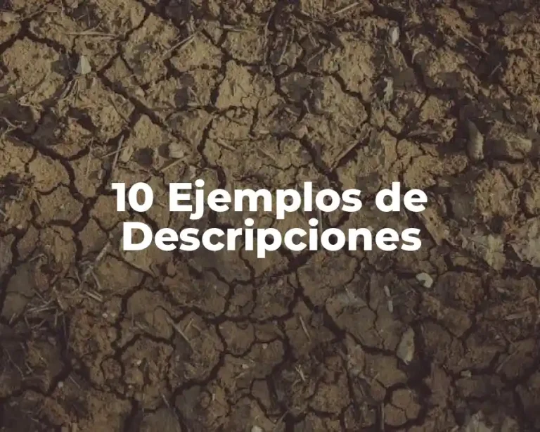 10 Ejemplos de Descripciones