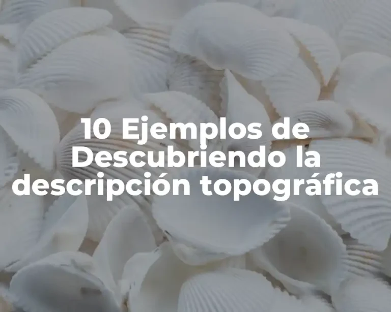 10 Ejemplos de Descubriendo la descripción topográfica