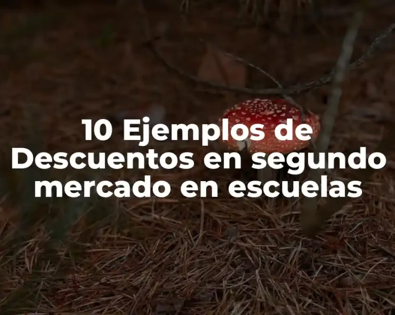 10 Ejemplos de Descuentos en segundo mercado en escuelas