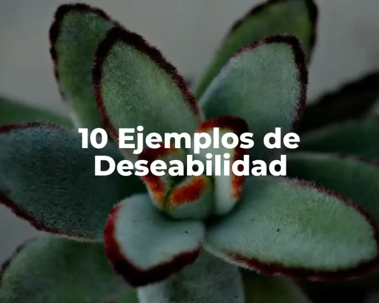 10 Ejemplos de Deseabilidad