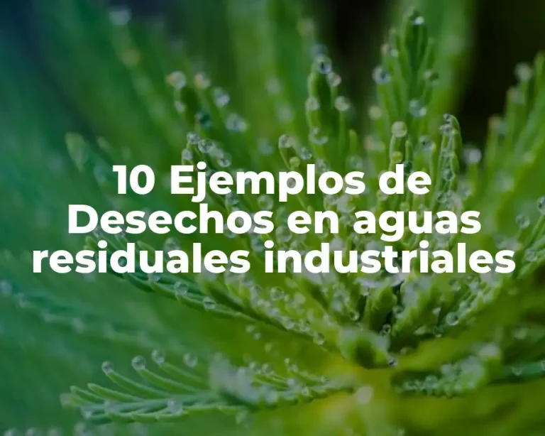 10 Ejemplos de Desechos en aguas residuales industriales