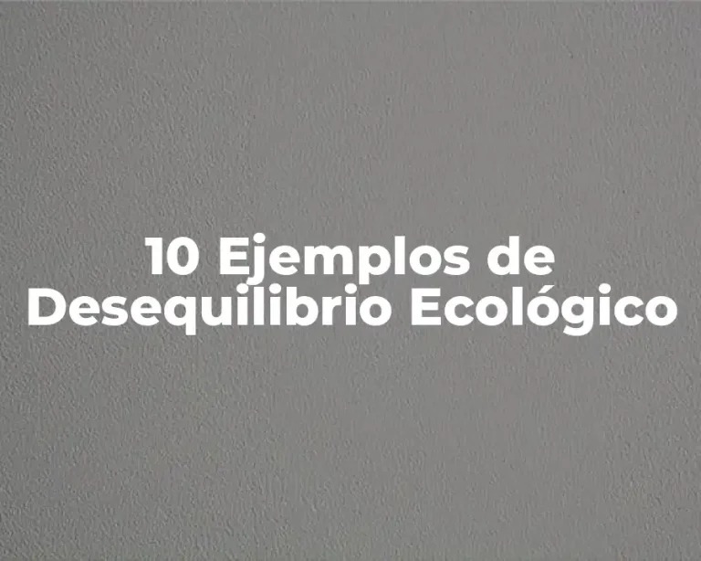 10 Ejemplos de Desequilibrio Ecológico
