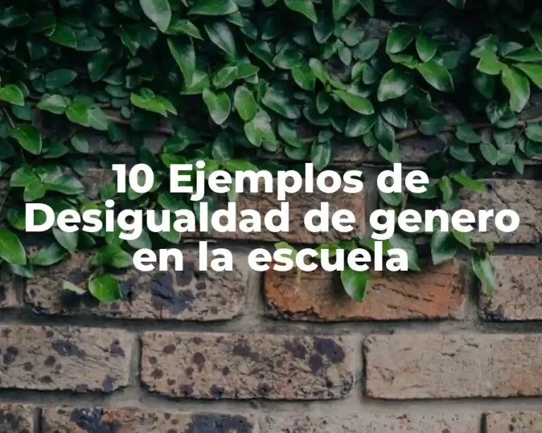 10 Ejemplos de Desigualdad de genero en la escuela
