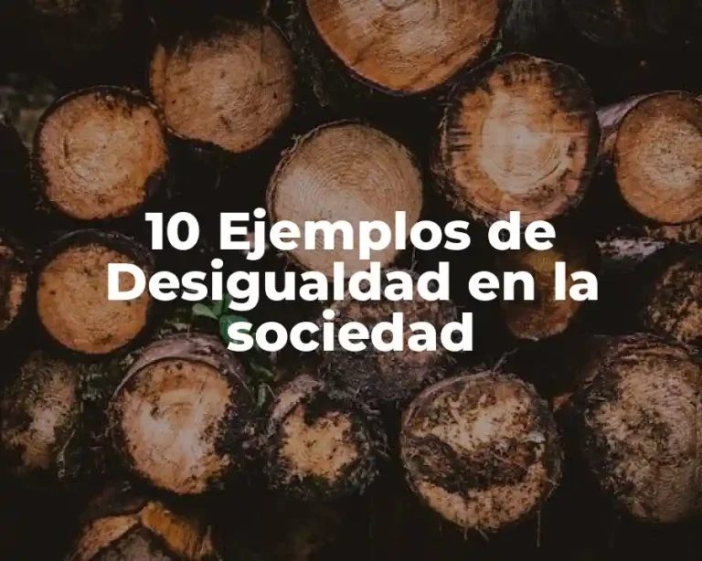 10 Ejemplos de Desigualdad en la sociedad