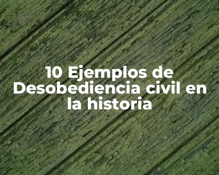 10 Ejemplos de Desobediencia civil en la historia