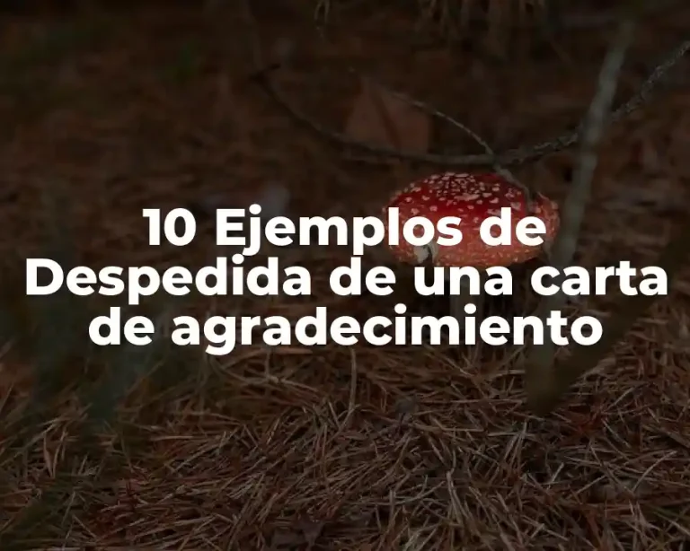 10 Ejemplos de Despedida de una carta de agradecimiento
