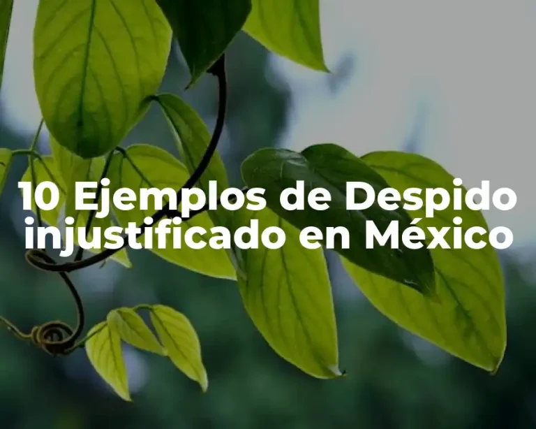 10 Ejemplos de Despido injustificado en México