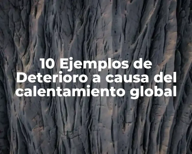 10 Ejemplos de Deterioro a causa del calentamiento global