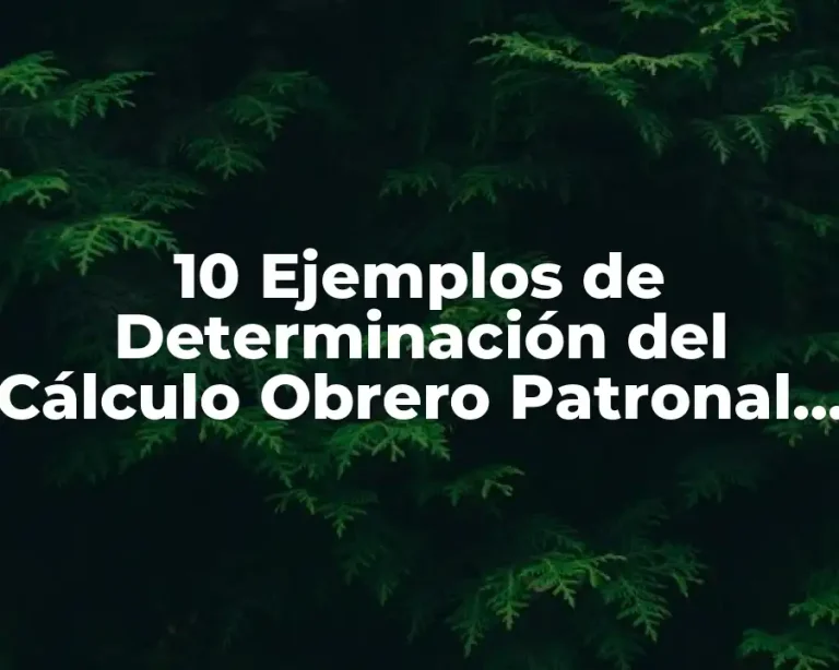 10 Ejemplos de Determinación del Cálculo Obrero Patronal de Construcción