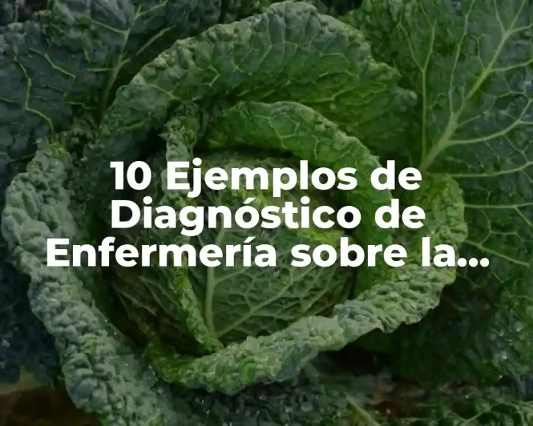 10 Ejemplos de Diagnóstico de Enfermería sobre la Inflamación