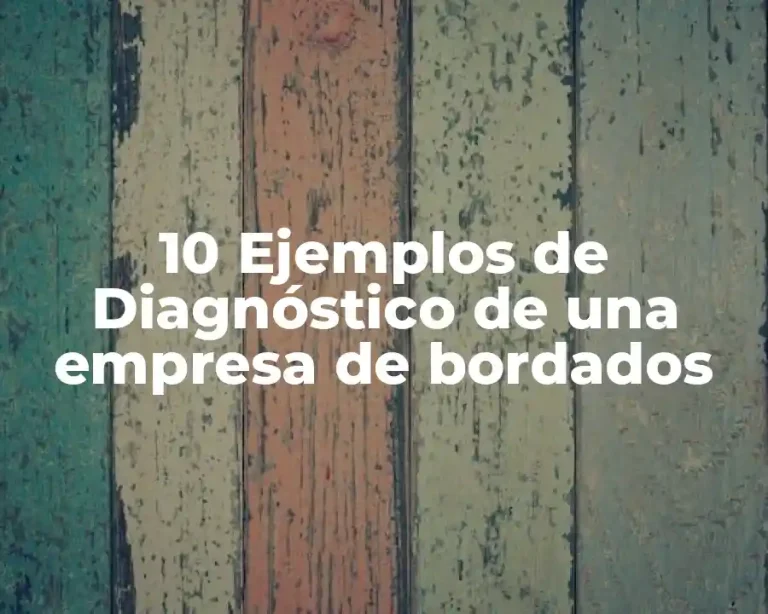 10 Ejemplos de Diagnóstico de una empresa de bordados