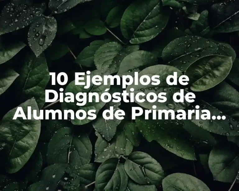 10 Ejemplos de Diagnósticos de Alumnos de Primaria Segundo Grado