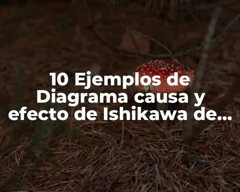 10 Ejemplos de Diagrama causa y efecto de Ishikawa de procedimientos