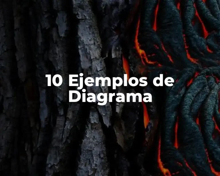 10 Ejemplos de Diagrama