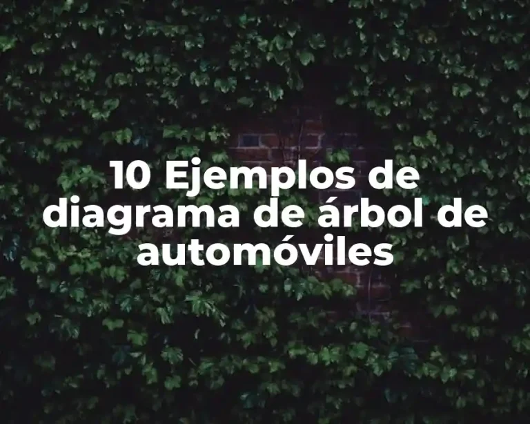 10 Ejemplos de diagrama de árbol de automóviles