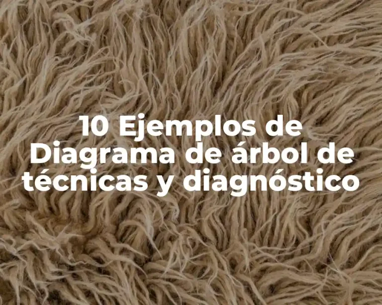 10 Ejemplos de Diagrama de árbol de técnicas y diagnóstico