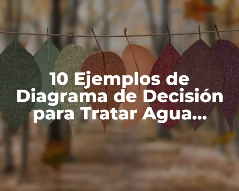10 Ejemplos de Diagrama de Decisión para Tratar Agua Residual