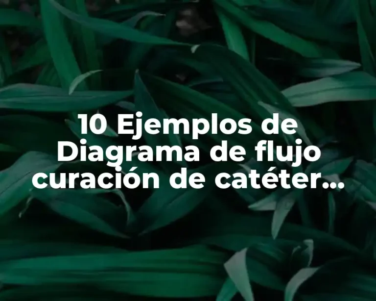 10 Ejemplos de Diagrama de flujo curación de catéter venoso periférico