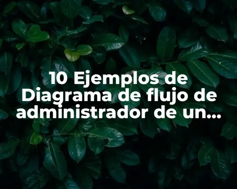 10 Ejemplos de Diagrama de flujo de administrador de un sistema