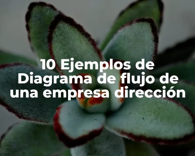 10 Ejemplos de Diagrama de flujo de una empresa dirección