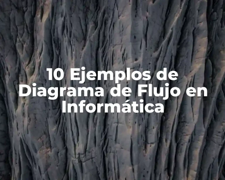 10 Ejemplos de Diagrama de Flujo en Informática
