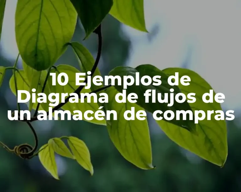 10 Ejemplos de Diagrama de flujos de un almacén de compras