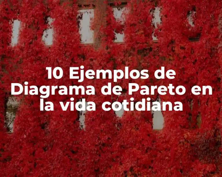 10 Ejemplos de Diagrama de Pareto en la vida cotidiana