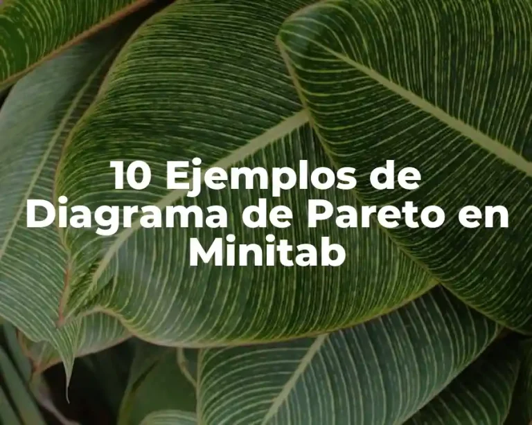 10 Ejemplos de Diagrama de Pareto en Minitab