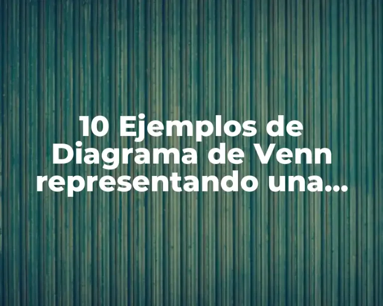 10 Ejemplos de Diagrama de Venn representando una función