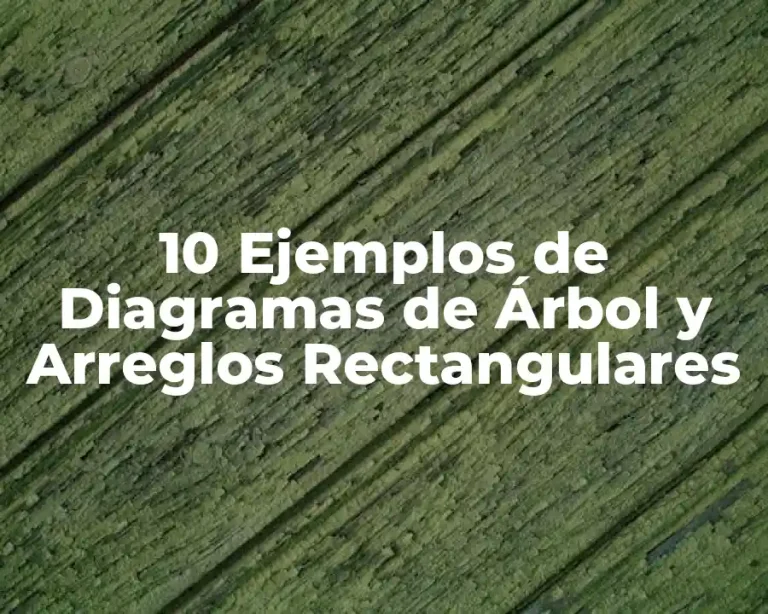 10 Ejemplos de Diagramas de Árbol y Arreglos Rectangulares